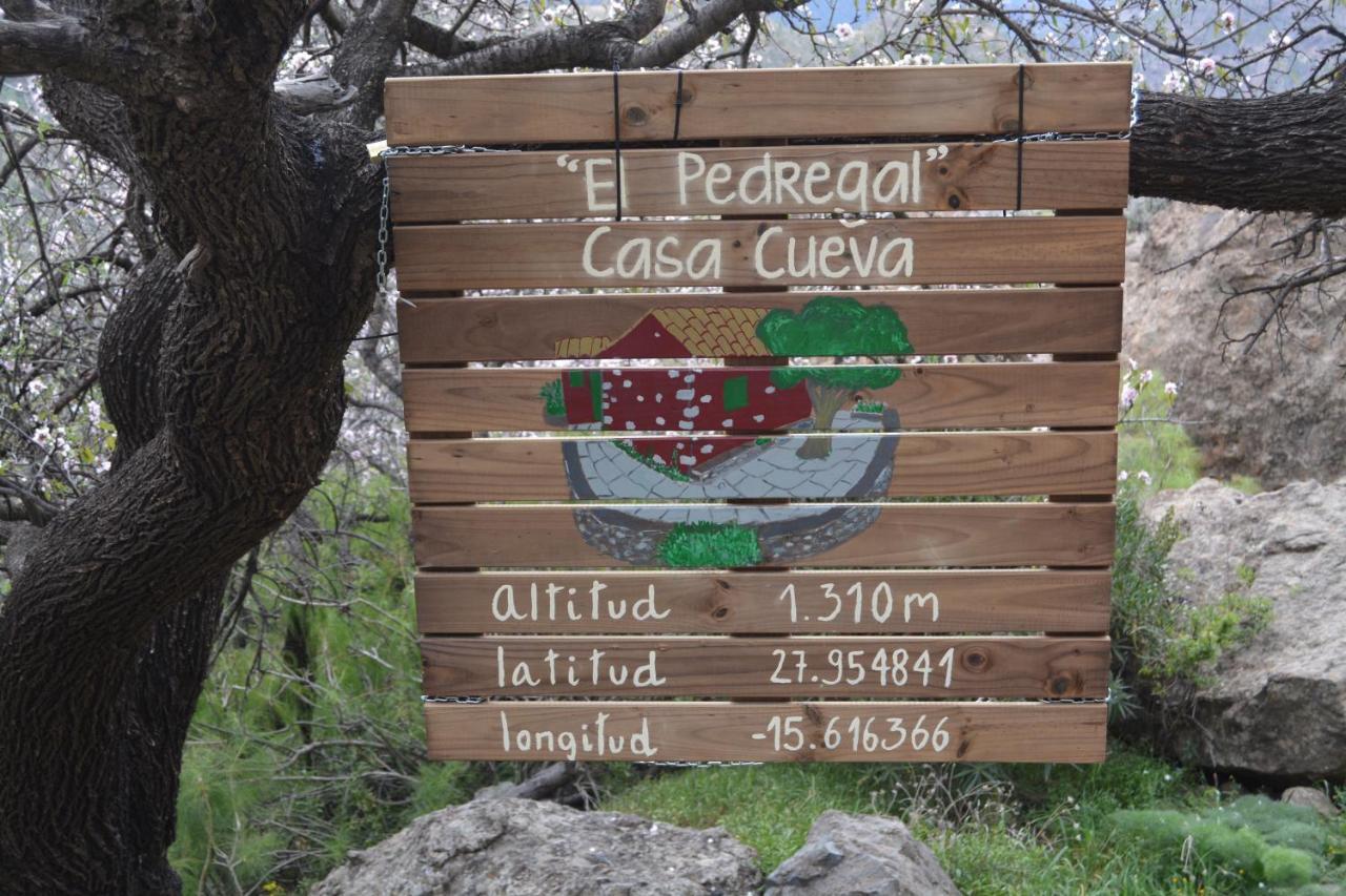 Casa Cueva El Pedregal Tejeda Villa Exteriör bild