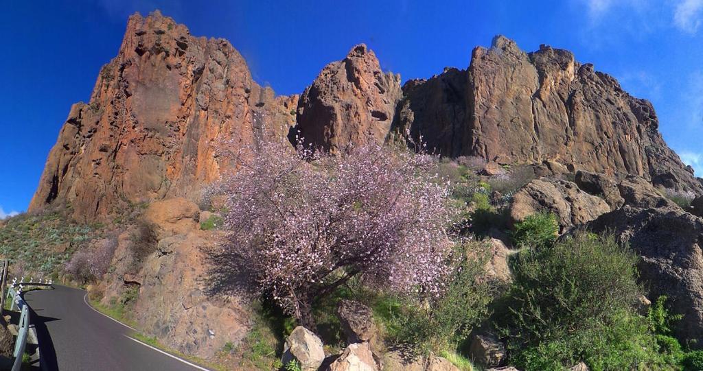 Casa Cueva El Pedregal Tejeda Villa Exteriör bild